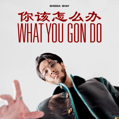 ShiGGa Shay What You Gon Do 你該怎麼辦