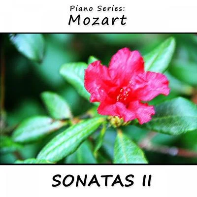 Wolfgang Amadeus Mozart/James Wright Webber Piano Series: Mozart (Sonatas 2)