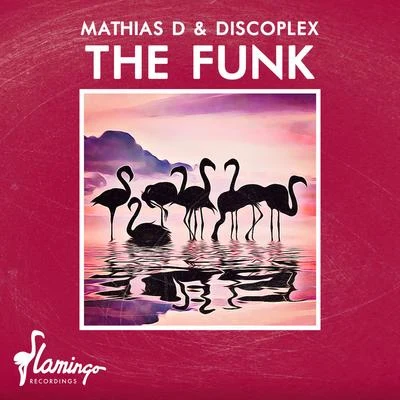 Discoplex/Mathias D. The Funk (Extended Mix)