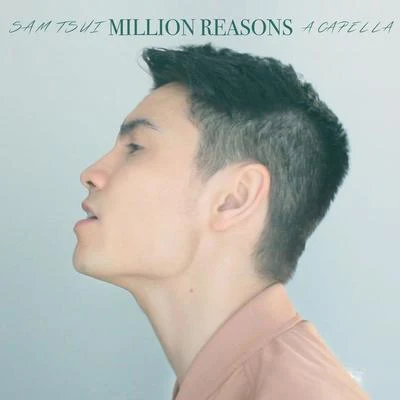 Sam Tsui Million Reasons