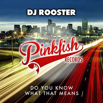 DJ Rooster Do You Know What That Means