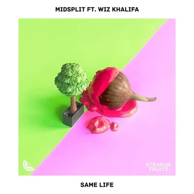 Wiz Khalifa/Midsplit Same Life