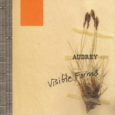 audrey Visible Forms