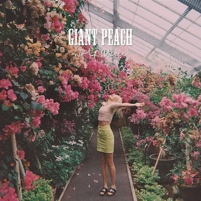 Wolf Alice Giant Peach