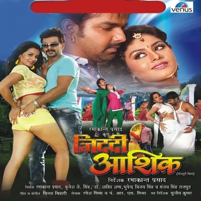 Vinay Bihari Ziddi Aashiq (Original Motion Picture Soundtrack)