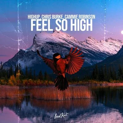 Chris Burke/Cammie Robinson/Highup Feel so High