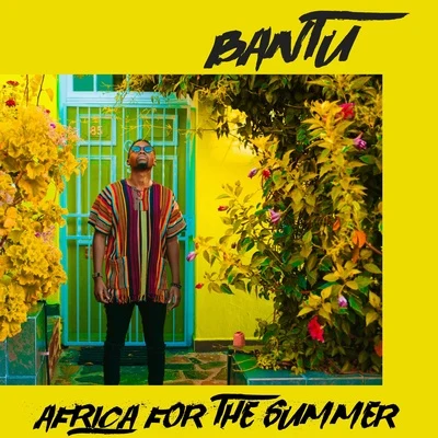 Bantu Africa for the Summer