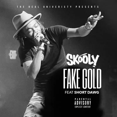 Skooly Fake Gold (feat. Short Dawg) - Single