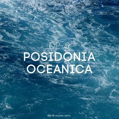 DP-6 Posidonia Oceanica