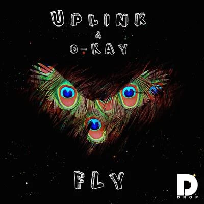 Uplink Fly