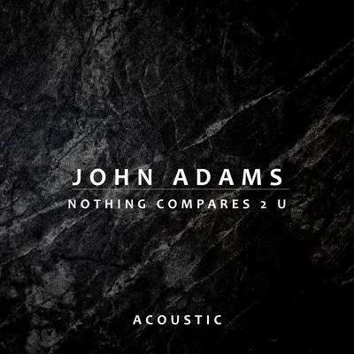 John Adams Nothing Compares 2 U (Acoustic)