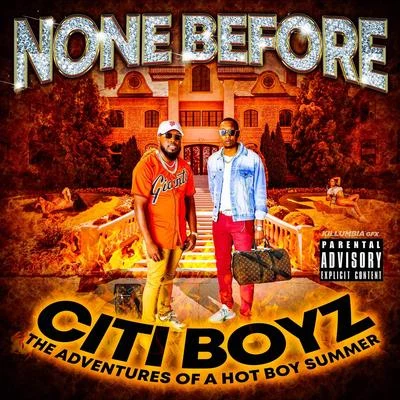 None Before Citi Boyz: The Adventures of a Hot Boy Summer