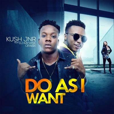 Dj Kaywise/KUSH JNR/opa6ix Do as I Want (feat. DJ Kaywise & Opa6ix)