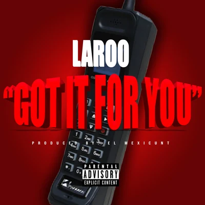 Laroo Got It For You