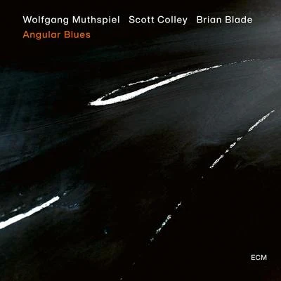 Wolfgang Muthspiel/Scott Colley/Brian Blade Everything I Love