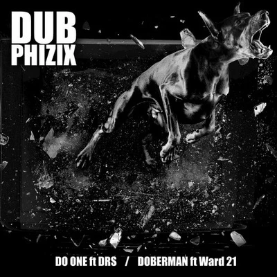 Dub Phizix Do One (feat. DRS)