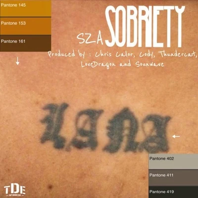 SZA Sobriety