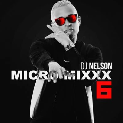 DJ Nelson Micro Mixx Vol. 6