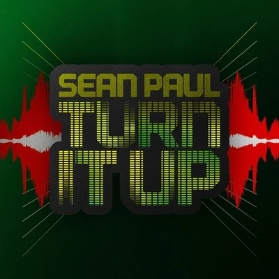 Sean Paul Turn It Up