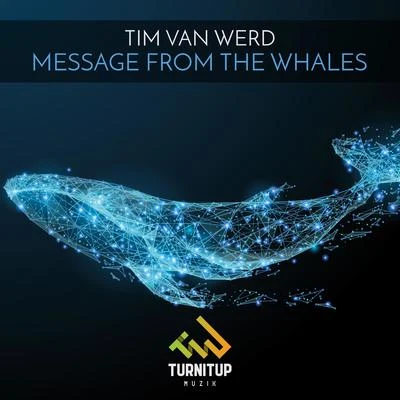 Tim van Werd Message from the Whales