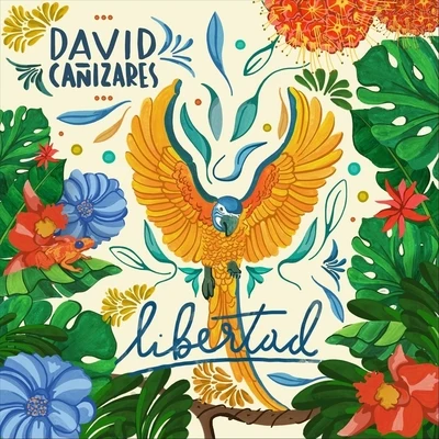 David Cañizares Libertad