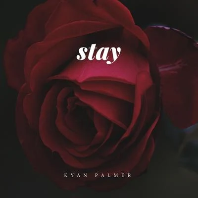 Kyan Palmer Stay