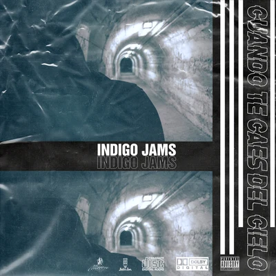 Indigo Jams Cuando Te Caes del Cielo