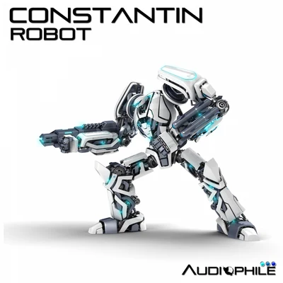 Constantin Robot