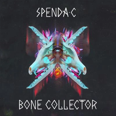 Spenda C Bone Collector