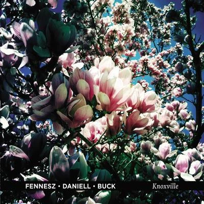 DanieLL/Buck/Fennesz Knoxville