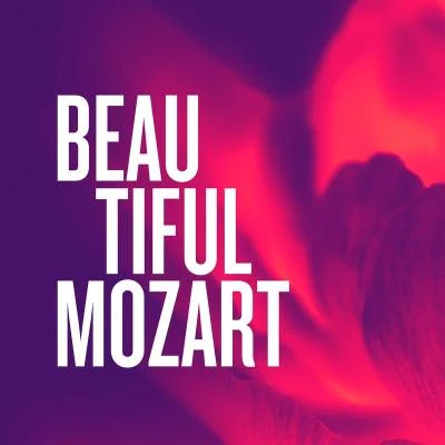 Maxence Larrieu/Jean-Pierre Wallez/Alain Lombard/Libor Hlavácek/Ensemble Instrumental De France/Prague Chamber Orchestra Beautiful Mozart