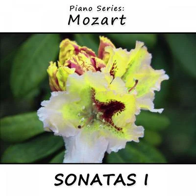 Wolfgang Amadeus Mozart/James Wright Webber Piano Series: Mozart (Sonatas 1)