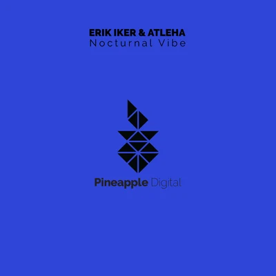 Atleha/Erik Iker Nocturnal Vibe