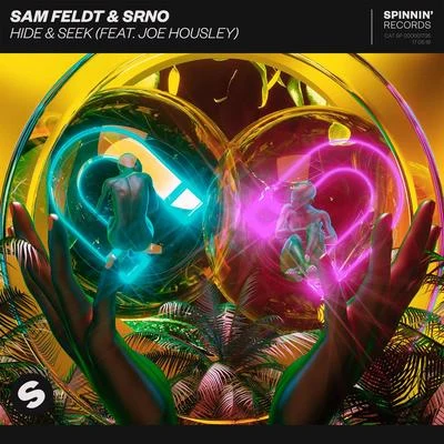 SRNO/Joe Housley/Sam Feldt/Quintino &amp; Blasterjaxx Hide & Seek