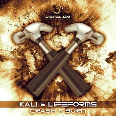 Kali/Lifeforms CRASH & BURN