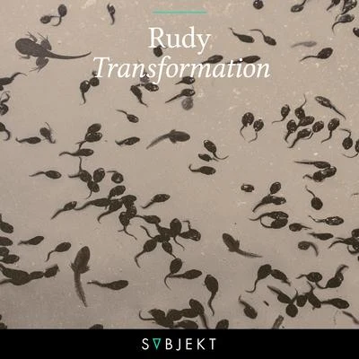 RUDY Transformation