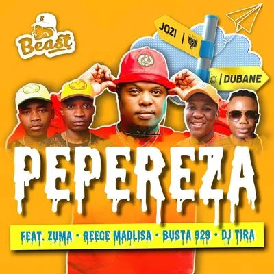 Busta 929/Beast Rsa/Zuma/Reece Madlisa/DJ Tira Pepereza