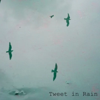 Nature &amp; Sounds Backgrounds Tweet in Rain