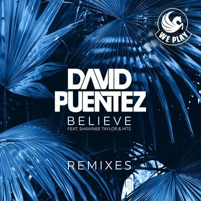 David Puentez Believe (Remixes)