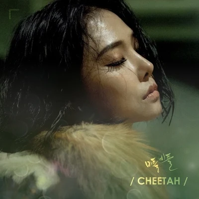 cheetah 비틀비틀