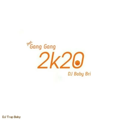 DJ Trap Baby/Gang Gang/DJ Baby Bri 2k20