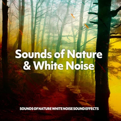 Sounds of Nature White Noise Sound Effects Sounds of Nature & White Noise