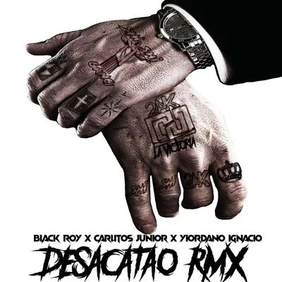 Carlitos Junior Desacatao (Remix)