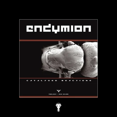 Endymion Three - Sampler 2