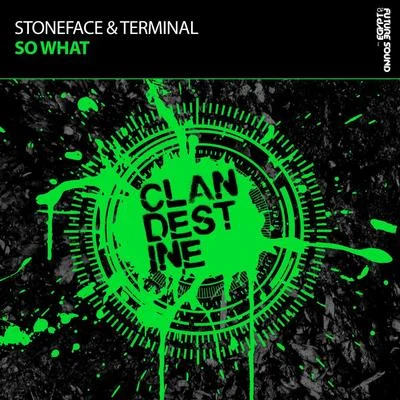 Stoneface &amp; Terminal So What