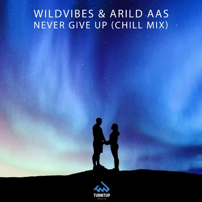 WildVibes/Arild Aas Never Give Up (Chill Mix)