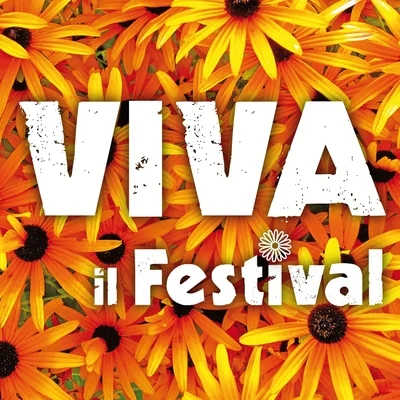 Studio Sound Group Viva il festival