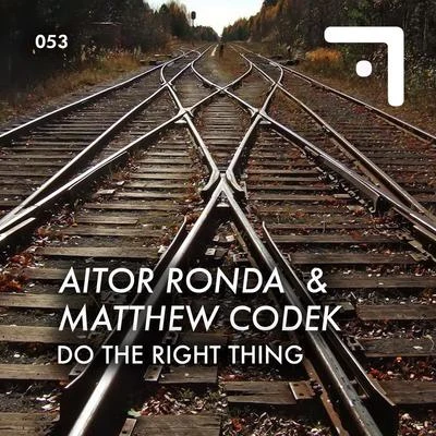 Matthew Codek/Aitor Ronda Do the Right Thing