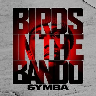 SYMBA Birds In The Bando