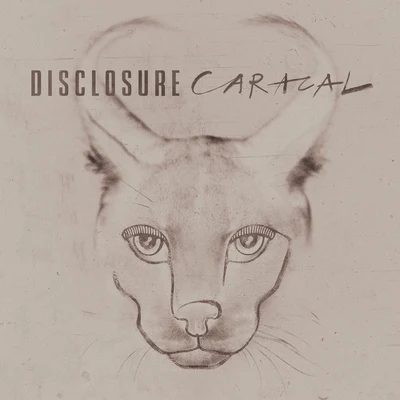 Disclosure Caracal